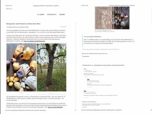 Deutsche Nationalbibliothek Artikel über Baumperlen